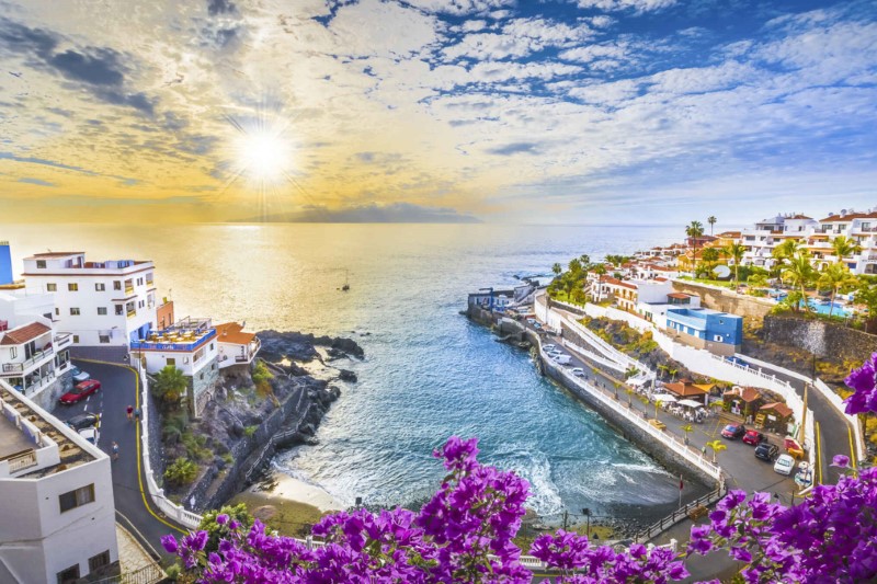 Canary Island Banner